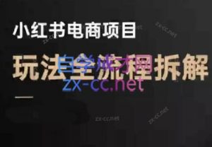 菲菲老师·小红书电商玩法(更新9月)-翻身站