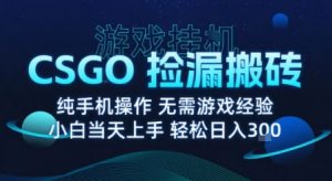 8月最新游戏搬砖，CSGO纯挂G，不需要玩游戏，实现真挂G，月入1W+【揭秘】-翻身站