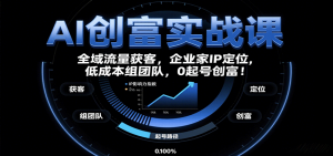 AI创富实战课：企业家IP定位，全域流量获客，低成本组团队，0起号创富！-翻身站