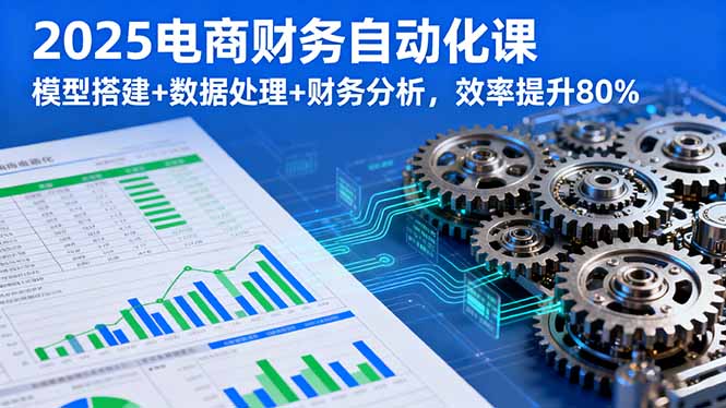 2025电商财务自动化课，模型搭建+数据处理+财务分析，效率提升80%-翻身站