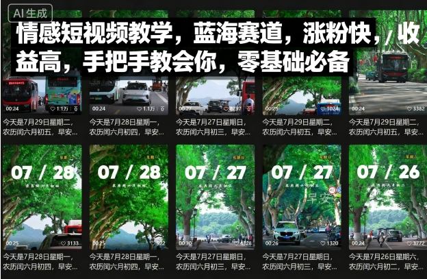 情感短视频教学，蓝海赛道，涨粉快，收益高，手把手教会你，零基础必备-翻身站