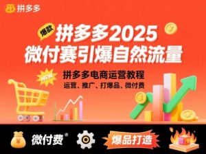 拼多多2025微付赛引爆自然流量，拼多多电商运营教程，运营、推广、打爆品、微付费-翻身站