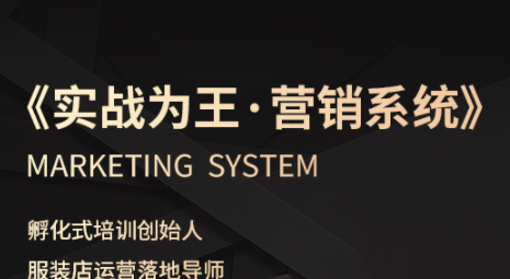 老杨·服装老板必修课《实战为王-营销系统》实现业绩被动式增长-翻身站