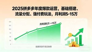 2025拼多多年度爆款运营，基础搭建、流量分配、强付费玩法，月利润5-15万-翻身站