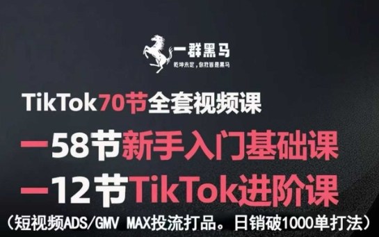 TikTok全套视频课，新手入门+进阶课，短视频ADS-GMV MAX投流打品，日销破1000单打法-翻身站