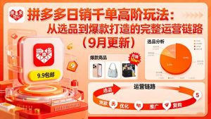 拼多多日销千单高阶玩法：从选品到爆款打造的完整运营链路(9月更新-翻身站