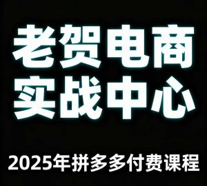 老贺电商2025年拼多多付费课程，用通俗易懂的方法告诉你多多怎么玩-翻身站