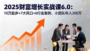 2025财富增长实战课6.0：10万起步+7大风口+6行业案例，小团队年入200万-翻身站