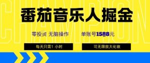 番茄音乐人掘金，单账号最高可撸1k+，可无限矩阵去做，零投入-翻身站