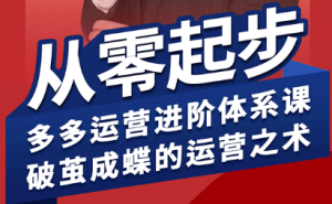 海神·拼多多运营进阶系统课(更新9月)-翻身站