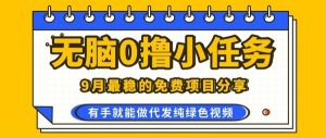 0学费0风险，2025风口项目，无脑免费撸，代发纯绿色视频，一部手机人人可做【揭秘】-翻身站