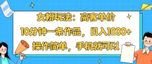 女粉玩法：高客单价，10分钟一条作品，日入1k+操作简单，手机就可以-翻身站