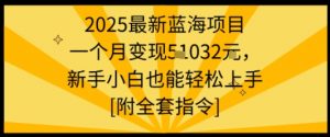 2025最新蓝海项目一个月变现1w+新手小白也能轻松上手【附全套指令】-翻身站