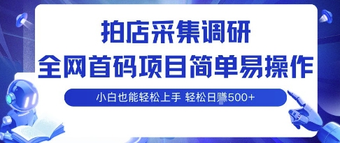 拍店采集调研，全网首码项目，简单易操作， 小白也能轻松上手，多账号操作，轻松日入5张【揭秘】-翻身站
