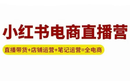申铭老师·小红书电商直播营(更新)-翻身站