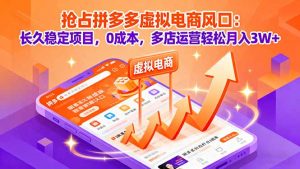 抢占拼多多虚拟电商风口：长久稳定项目，0成本，多店运营轻松月入3W+-翻身站