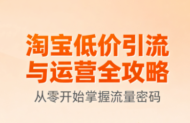 淘宝低价引流与运营全攻略(更新9月)-翻身站