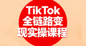 小杨老师·TikTok全链路变现实操课程-翻身站