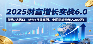 2025财富增长实战6.0，聚焦7大风口，结合6行业案例，小团队轻松年入200万！-翻身站