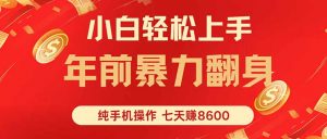 七天狂赚8600，小白纯手机操作，日入1000+-翻身站