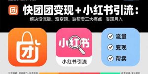 快团团变现+小红书引流：解决没流量、难变现、缺帮卖三大痛点 实现月入3w+-翻身站