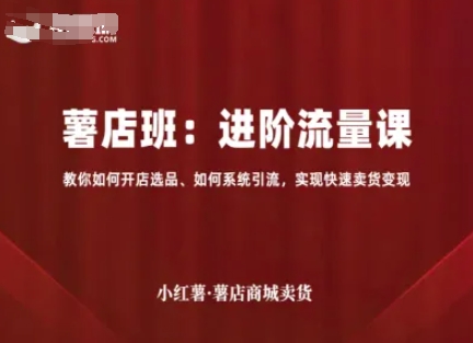 小红薯薯店商城卖货，进阶流量课，教你如何开店选品、如何系统引流，实现快速卖货变现-翻身站