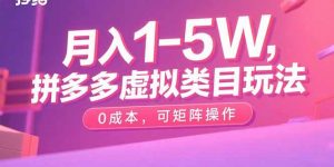 月入1-5W,拼多多虚拟类目玩法,0成本,可矩阵操作-翻身站