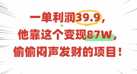 一单利润39.9，有人靠这个变现几十个，偷偷闷声发财的项目-翻身站