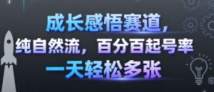 成长感悟赛道，纯自然流，百分百起号率 一天轻松多张-翻身站