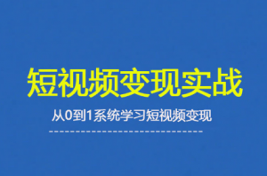 杨磊老师·2025短视频变现实战课-翻身站