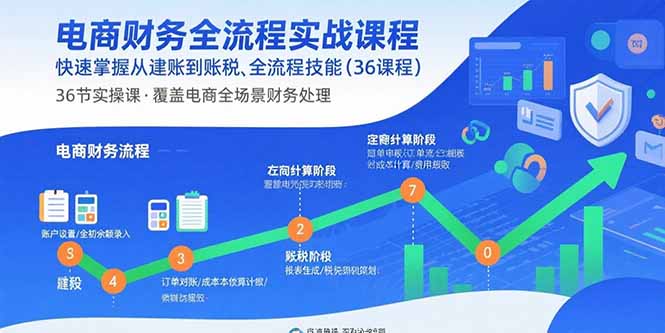电商财务全流程实战课程：快速掌握从建账到报税的全流程技能(36节课-翻身站