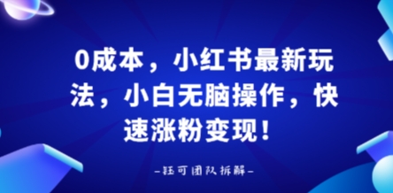 0成本，小红书最新玩法，小白无脑操作，快速涨粉变现-翻身站