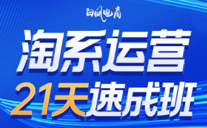 白凤电商·淘系运营21天速成班(更新9月)-翻身站