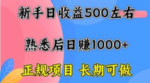 新手日收益500+ 正规项目 长期可做-翻身站
