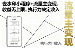 去水印小程序+流量主变现，收益无上限，执行力决定收入-翻身站