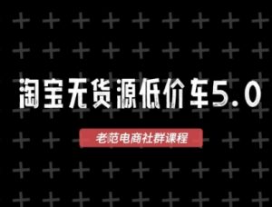 淘宝无货源价车5.0，​2025最新VIP淘宝无货源课程，1688代发，蓝海选品，零成本创业首选(更新)-翻身站