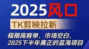 2025风口TK剪映capcut拉新项目，极限高客单，市场空白，2025下半年真正的蓝海项目-翻身站