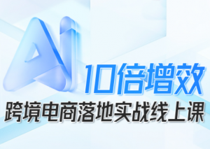 法老Pharaoh·跨境电商10倍增效，AI落地实战课-翻身站