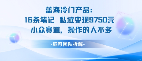 蓝海项目：16条笔记私域变现9750米小众赛道操作的人不多-翻身站