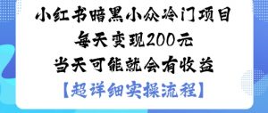 小红书暗黑小众冷门项目每天变现2张当天可能就会有收益-翻身站