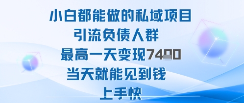 2025年小白都能做的私域项目引流负债人群最高一天变现1k+高变现难度低当天就能见到钱上手快-翻身站
