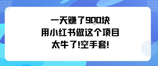 一天挣了9张用小红书做这个项目太牛了，空手套-翻身站
