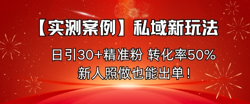 【实测案例】私域新玩法，日引30+精准粉，转化率50%，新人照做也能出单！-翻身站