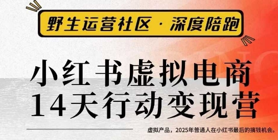 小红书虚拟电商14天变现训练营3.0，​虚拟产品，2025年普通人在小红书最后的搞钱机会-翻身站
