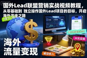 国外Lead联盟营销实战视频教程,从零基础到独立操作国外Lead项目的目标,开启海外淘金之路-翻身站