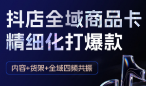 金戈·抖店爆单陪跑课-抖音小店爆单陪跑(更新10月)-翻身站