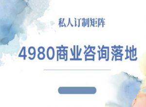 4980商业咨询师落地课程-ip运营高客单教程-翻身站