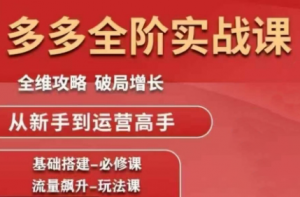 大炮·拼多多全阶实战课程(更新10月)-翻身站