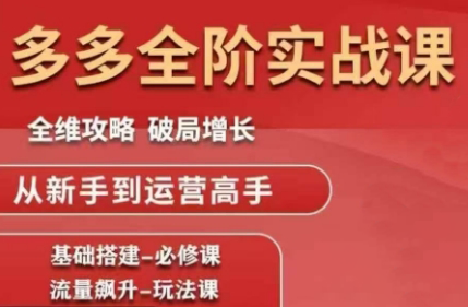 大炮·拼多多全阶实战课程(更新10月)-翻身站