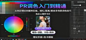 PR调色入门到精通：从色彩理论到案例实操，婚礼/医美/美食多场景调色技巧-翻身站